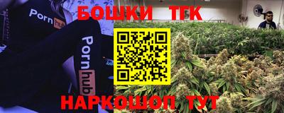 гидра Малгобек
