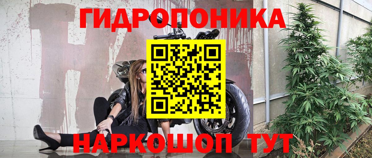 Каннабис ГИДРОПОН  Вход с VPN  Вятские Поляны  Каннабис OG Kush  Бошки Шишки OG Kush 